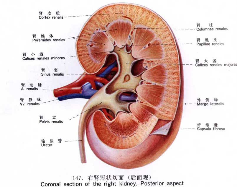 点击图片进入下一页